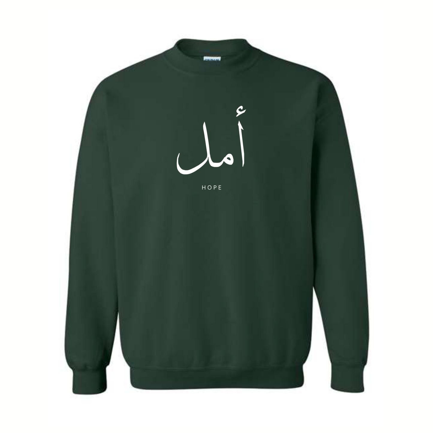amal (hope) crewneck